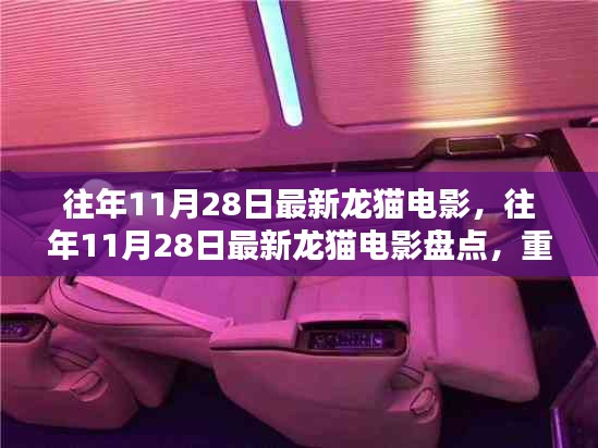 往年11月28日最新龙猫电影回顾，经典与未知的温馨之旅