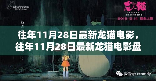 往年11月28日最新龙猫电影回顾,经典与未知的温馨之旅