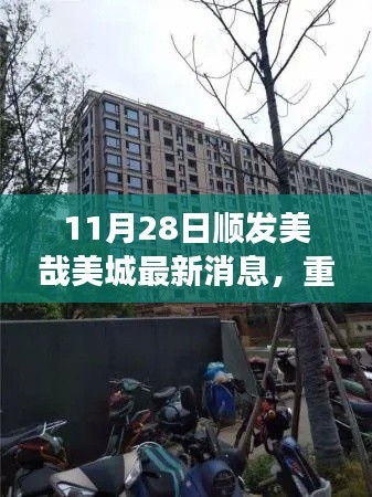 11月28日顺发美哉美城最新动态揭秘，重磅更新与消息一览