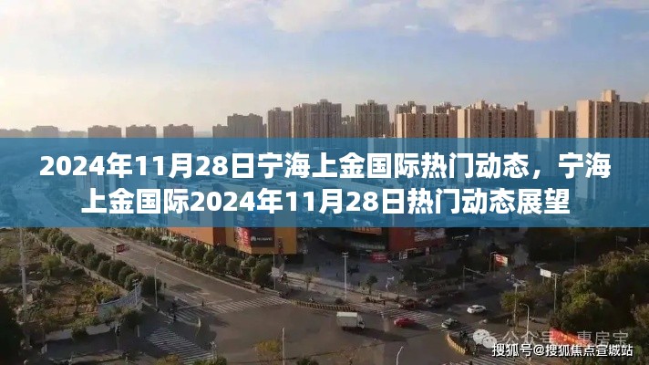 宁海上金国际2024年11月28日热门动态展望及分析