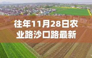 农业路沙口路科技新纪元揭秘,高科技产品重塑都市生活体验的最新动态