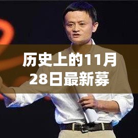 历史上的11月28日募捐情况概览与最新分析