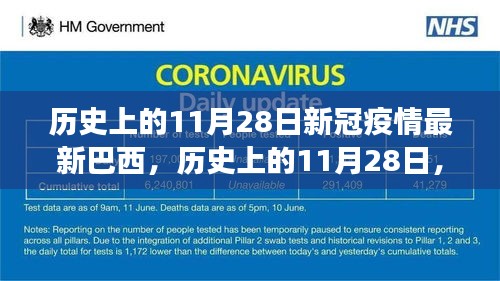 巴西新冠疫情最新进展与观点探讨，历史上的11月28日回顾与探讨