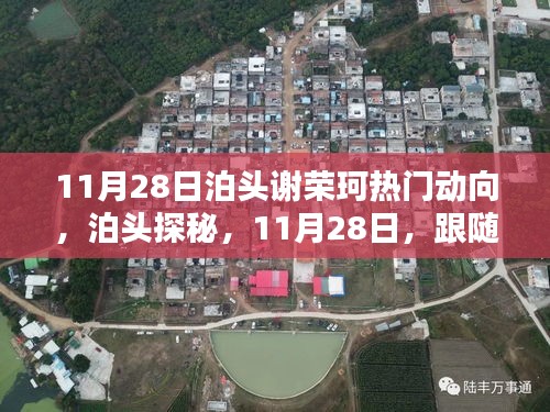 跟随谢荣珂走进泊头小巷的风味宇宙，11月28日热门动向探秘