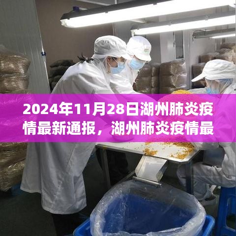 湖州肺炎疫情最新通报深度解析，全面评测与用户体验分析（2024年11月28日）
