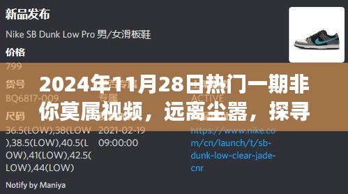 远离尘嚣的治愈之旅，探寻自然美景的非你莫属视频