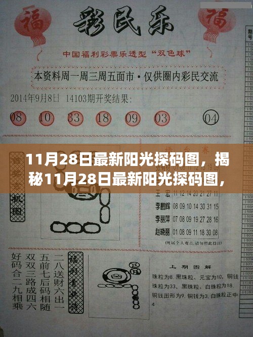 揭秘最新阳光探码图,洞悉数字奥秘的奥秘(11月28日更新)