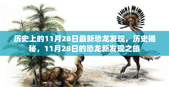 11月28日恐龙新发现之旅，历史揭秘与探索