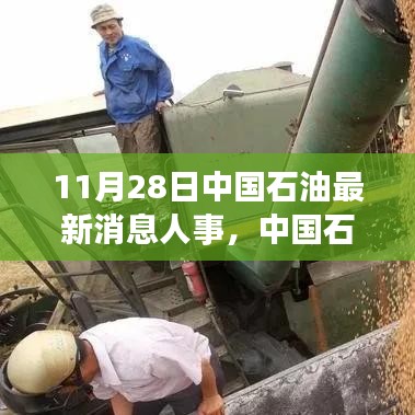 中国石油人事动态更新深度解析，最新消息人事，11月28日更新