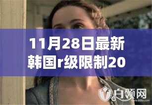 韩国R级限制电影的深度探讨与理性思考，涉黄问题的揭露与反思