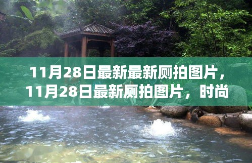 11月28日最新厕拍图片，时尚潮流与生活瞬间的精彩捕捉