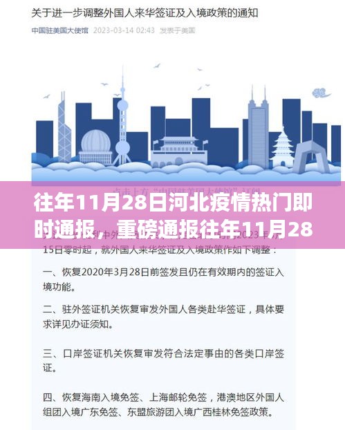 河北疫情最新动态，往年11月28日即时通报与防控进展更新