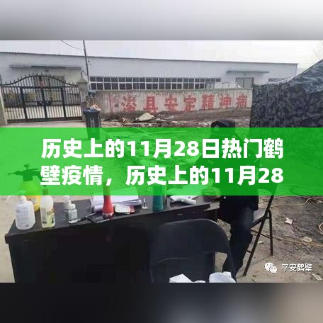 历史上的11月28日鹤壁疫情深度回顾与热点解读