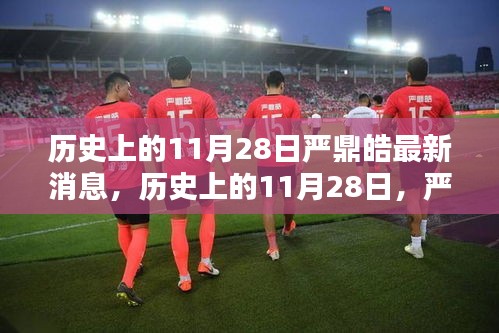 严鼎皓，历史11月28日的新征程探寻自然美景与内心平静之路
