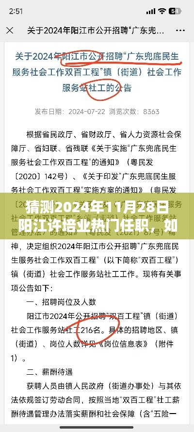 如何预测阳江许培业在2024年11月28日的热门任职,详细步骤指南(初学者与进阶用户均可参考)