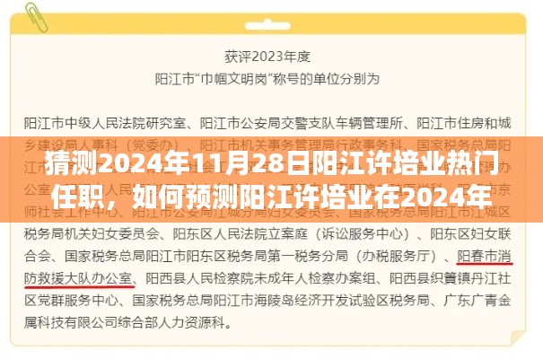 如何预测阳江许培业在2024年11月28日的热门任职，详细步骤指南（初学者与进阶用户均可参考）