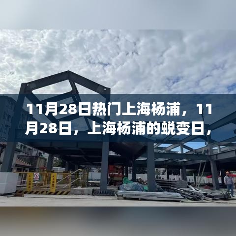 上海杨浦蜕变日，学习成就无限可能，自信闪耀人生