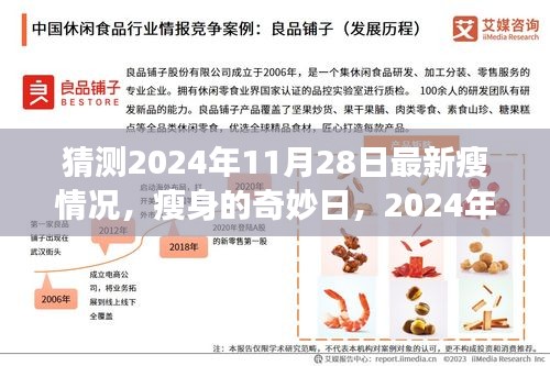 2024年11月28日瘦身新动态，奇妙瘦身之旅启程