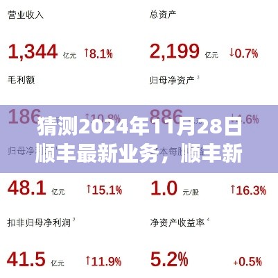 顺丰未来展望，奇遇与温情纽带，预见顺丰新篇章（2024年11月28日最新业务猜想）