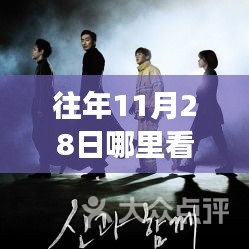 往年11月28日观影指南，光影中的自信与梦想，探寻最新电影的启示