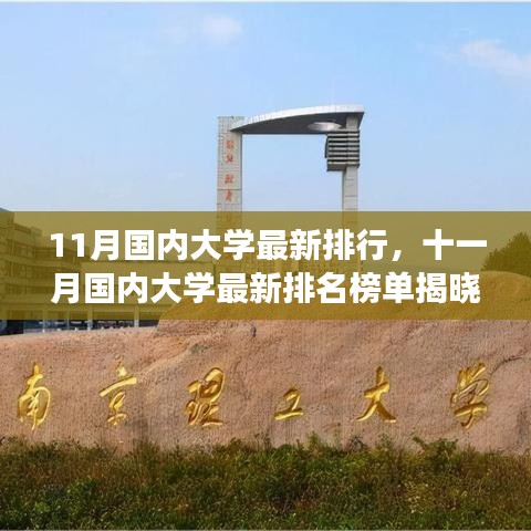 十一月国内大学最新排名榜单揭晓,你的学校是否荣登榜单?