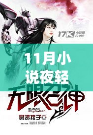 11月最新传奇小说夜轻歌，时代传奇细述