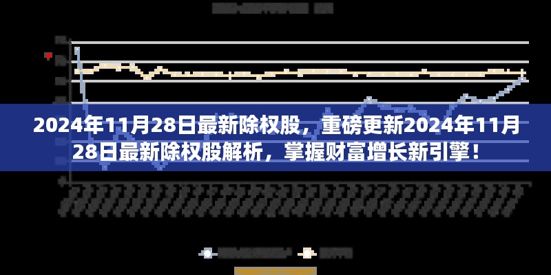 2024年11月最新除权股解析，开启财富增长之门