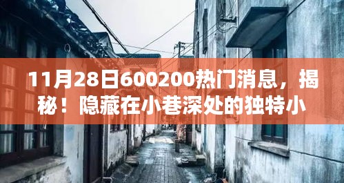 探秘小巷深处的独特小店，揭秘600200热门消息之探秘记（11月28日）