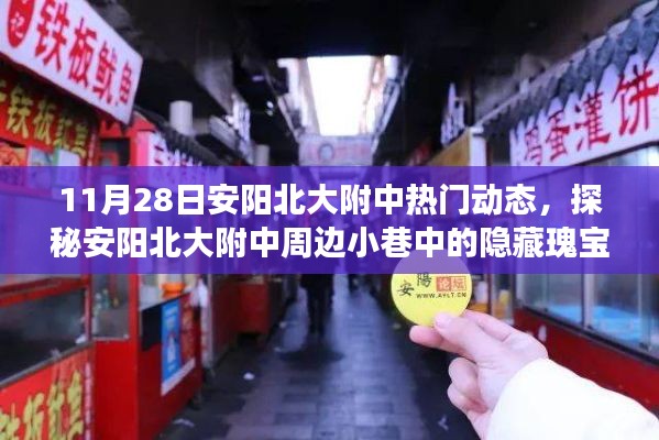 探秘安阳北大附中周边隐藏瑰宝，特色小店的奇妙故事（11月28日动态）