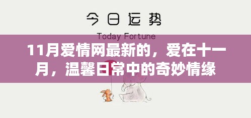 爱在十一月，奇妙情缘与温馨日常的甜蜜故事