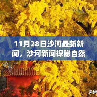 沙河新闻探秘自然秘境，寻找内心平静的奇妙旅程盛大开启