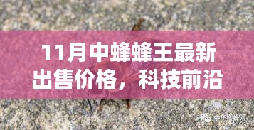 揭秘科技前沿，揭秘11月中蜂蜂王最新智能售价，开启未来生活新纪元体验！