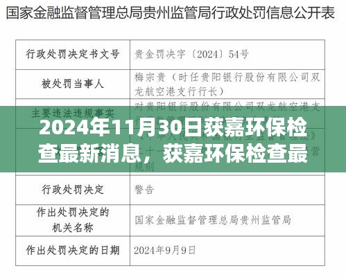 获嘉环保检查深度评测报告，特性、体验、竞品对比及用户分析（最新消息，2024年11月版）
