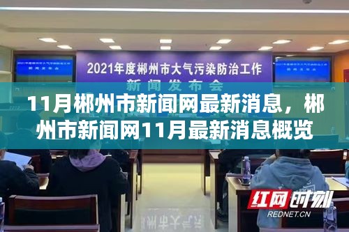郴州市新闻网11月最新消息概览，一网打尽全市动态资讯