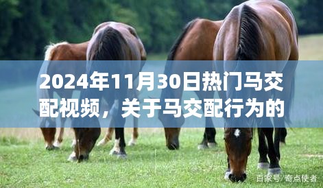 关于我们 第224页