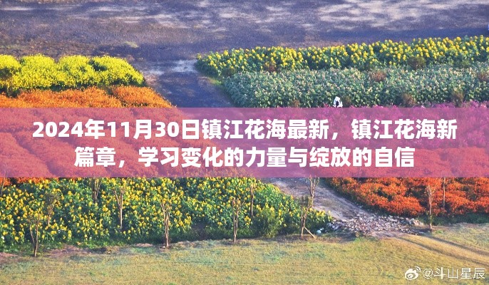 镇江花海新篇章，变化的力量与绽放的自信（2024年11月30日最新）