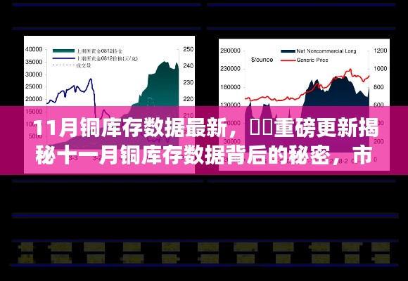 揭秘十一月铜库存数据背后的秘密，市场走势深度解析！