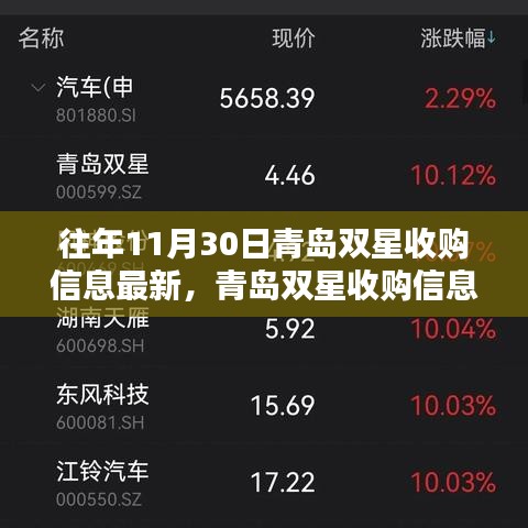 青岛双星收购最新动态，步步为营的收购流程详解及最新收购信息汇总