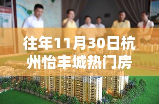 杭州怡丰城热门房价揭秘，历年11月30日深度探析