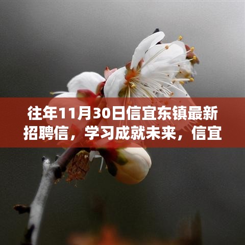 信宜东镇最新招聘启示，学习成就未来，启程鼓舞人心之旅