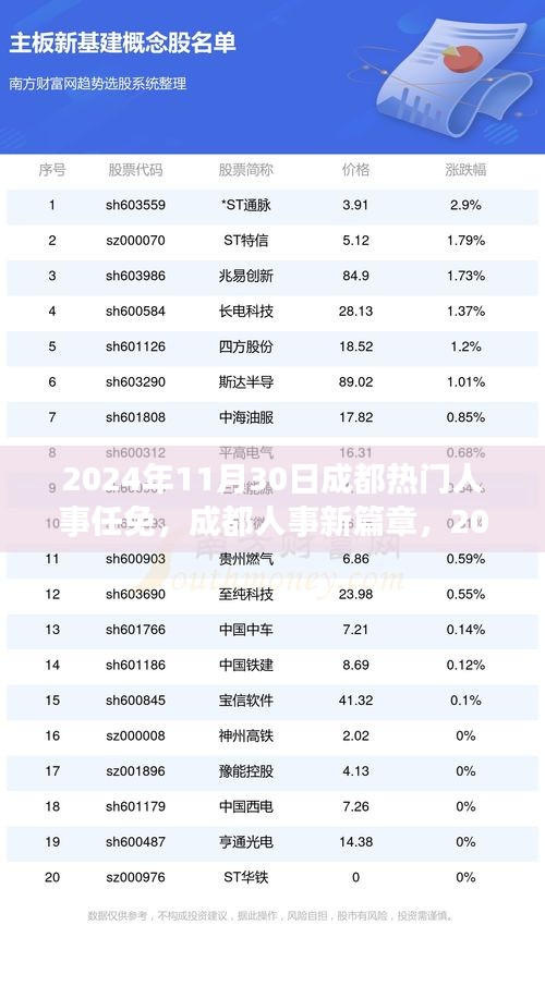 2024年11月30日成都人事任免新篇章，温馨人事变迁记