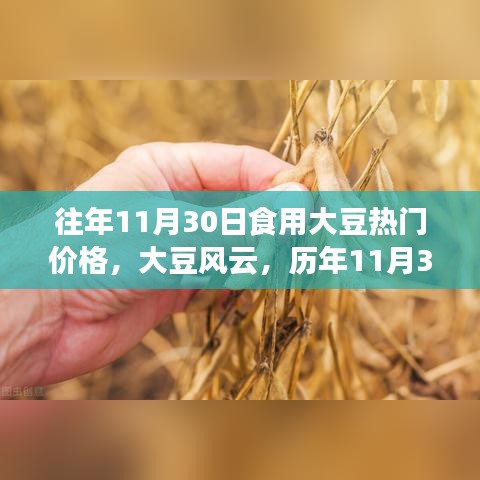 历年11月30日大豆市场风云解析，热门价格与市场深度剖析