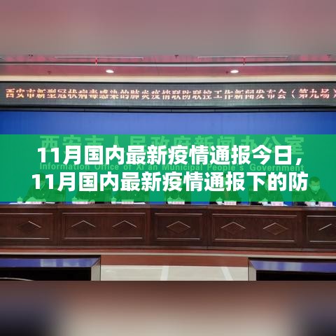 11月国内最新疫情通报解读，防控措施与个人观点分析