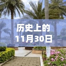 揭秘网红诞生之路，历史上的11月30日网红新纪元