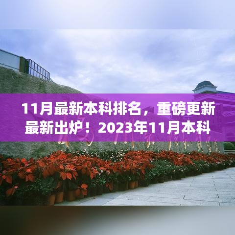 揭秘最新本科排名,2023年11月榜单重磅出炉,你的学校上榜了吗?