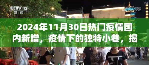 疫情下的独特小巷，揭秘日常中的特色小店，国内新增疫情动态（2024年11月30日）