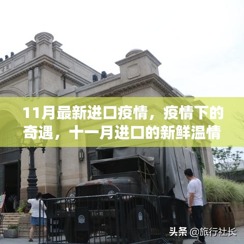 疫情奇遇记，十一月进口温情故事回顾
