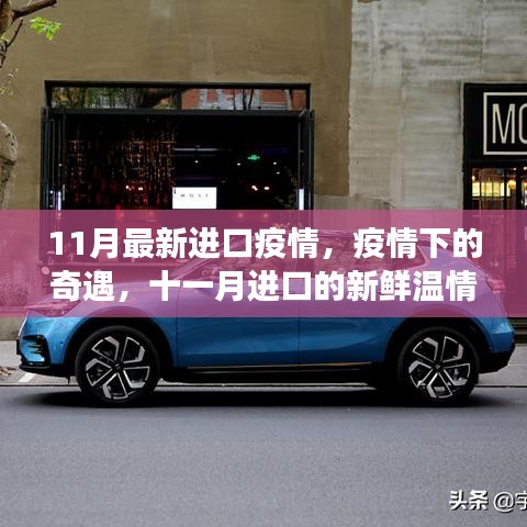 疫情奇遇记,十一月进口温情故事回顾