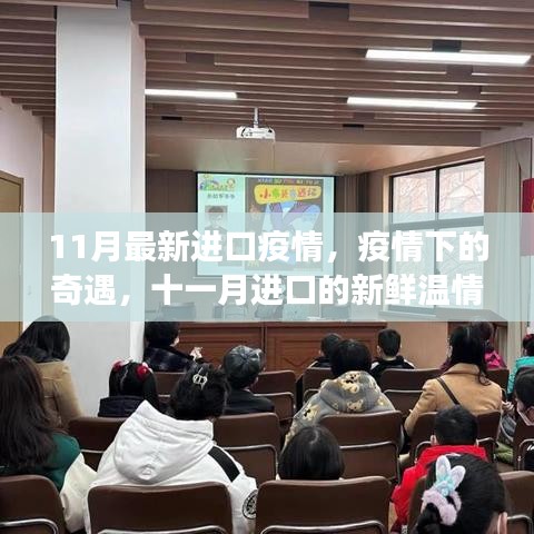 疫情奇遇记,十一月进口温情故事回顾