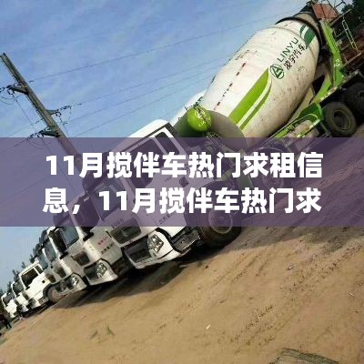 11月搅伴车热门求租信息详解,多方观点与个人立场探讨